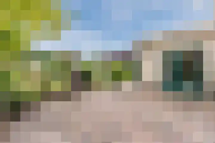 Boshoek 47 Vroomshoop thumbnail 36