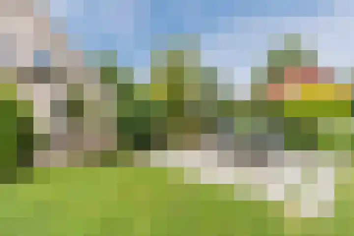 Boshoek 47 Vroomshoop thumbnail 37