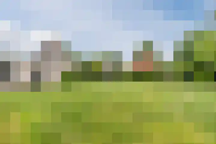 Boshoek 47 Vroomshoop thumbnail 38
