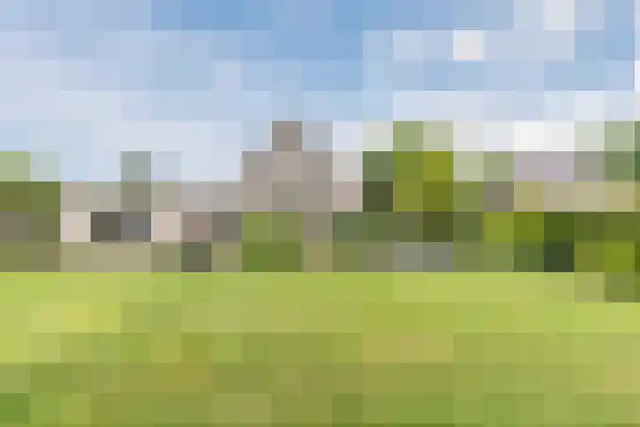 Boshoek 47 Vroomshoop thumbnail 39
