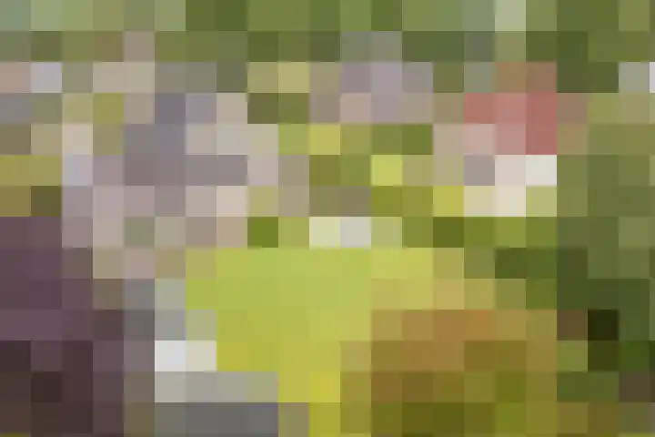 Boshoek 47 Vroomshoop thumbnail 4