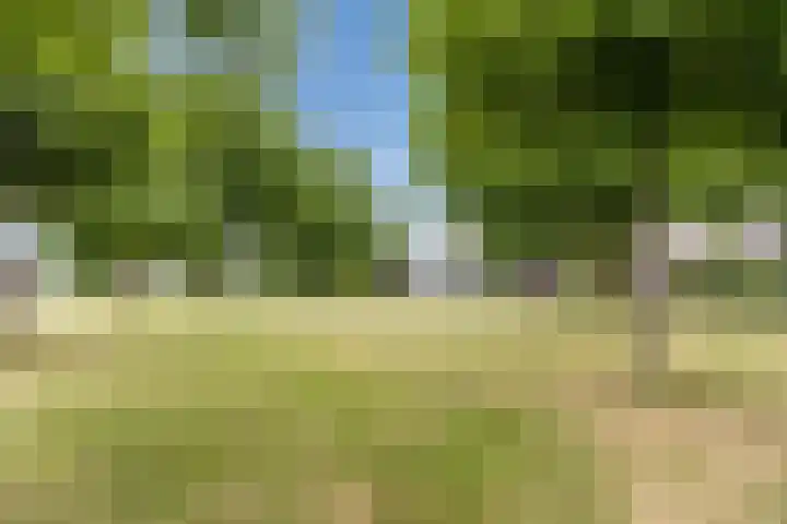 Boshoek 47 Vroomshoop thumbnail 43