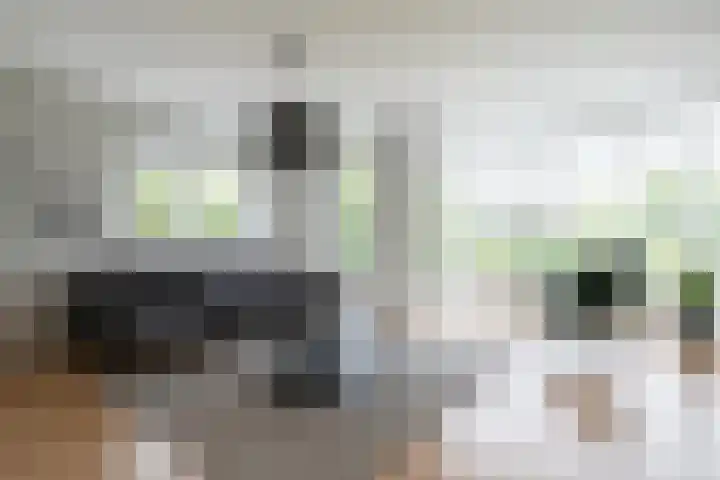 Boshoek 47 Vroomshoop thumbnail 46