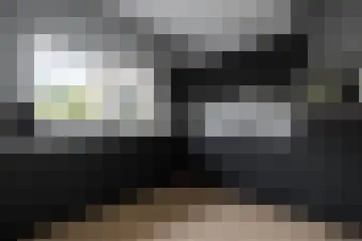 Boshoek 47 Vroomshoop thumbnail 47