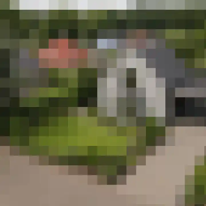 Boshoek 47 Vroomshoop thumbnail 48