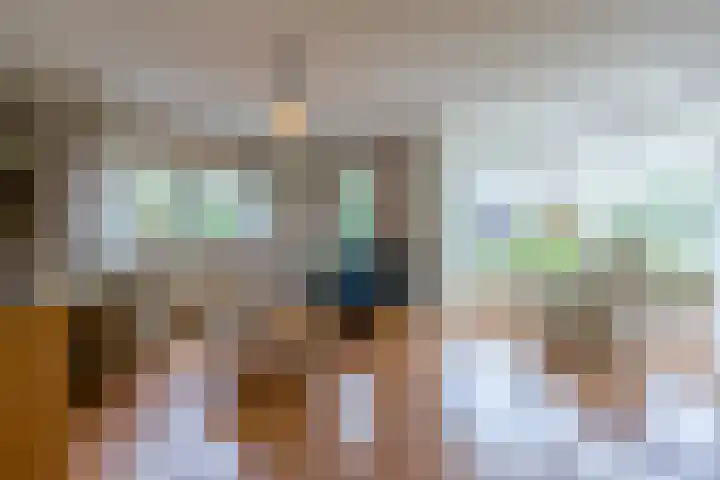 Boshoek 47 Vroomshoop thumbnail 6