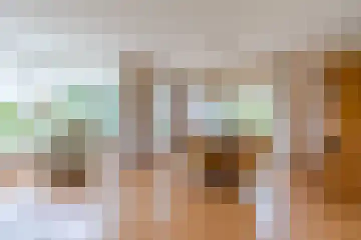 Boshoek 47 Vroomshoop thumbnail 8