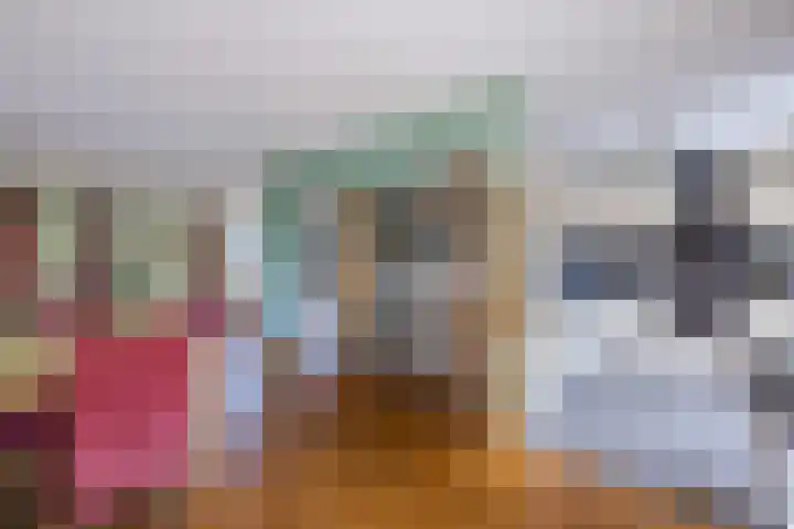 Boshoek 49 Vroomshoop thumbnail 12
