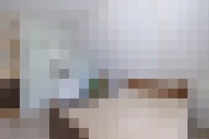 Boshoek 49 Vroomshoop thumbnail 20