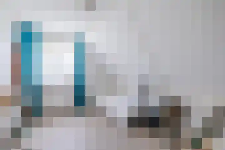 Boshoek 49 Vroomshoop thumbnail 22