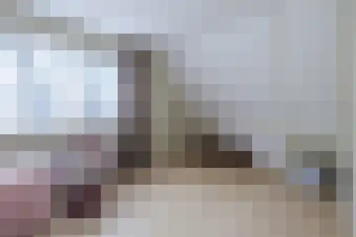 Boshoek 49 Vroomshoop thumbnail 24