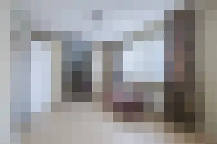 Boshoek 49 Vroomshoop thumbnail 25
