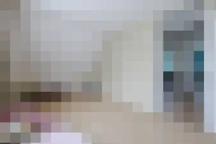 Boshoek 49 Vroomshoop thumbnail 27