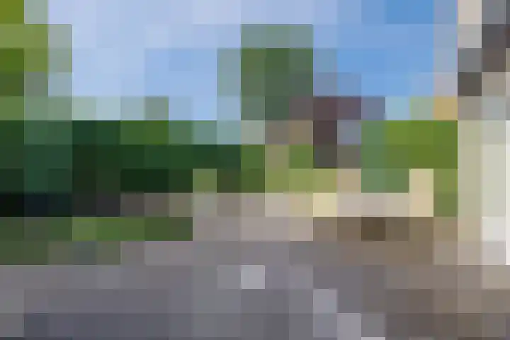 Boshoek 49 Vroomshoop thumbnail 39