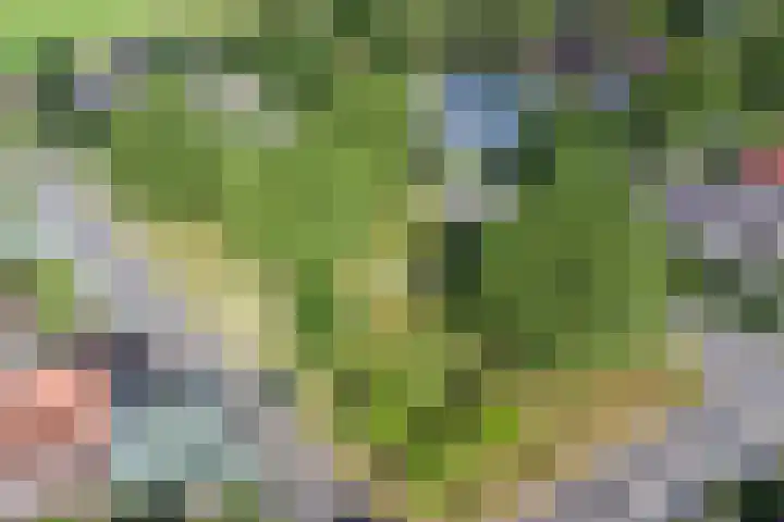 Boshoek 49 Vroomshoop thumbnail 4