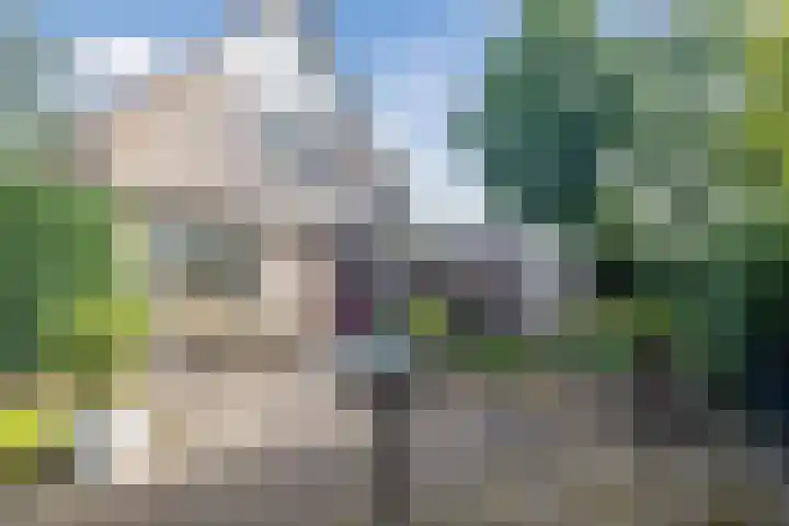 Boshoek 49 Vroomshoop thumbnail 40