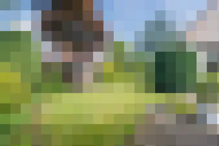 Boshoek 49 Vroomshoop thumbnail 41