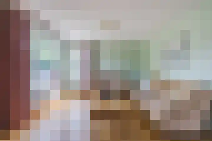 Boshoek 49 Vroomshoop thumbnail 6