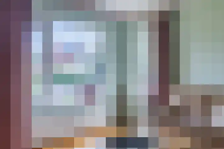 Boshoek 49 Vroomshoop thumbnail 8