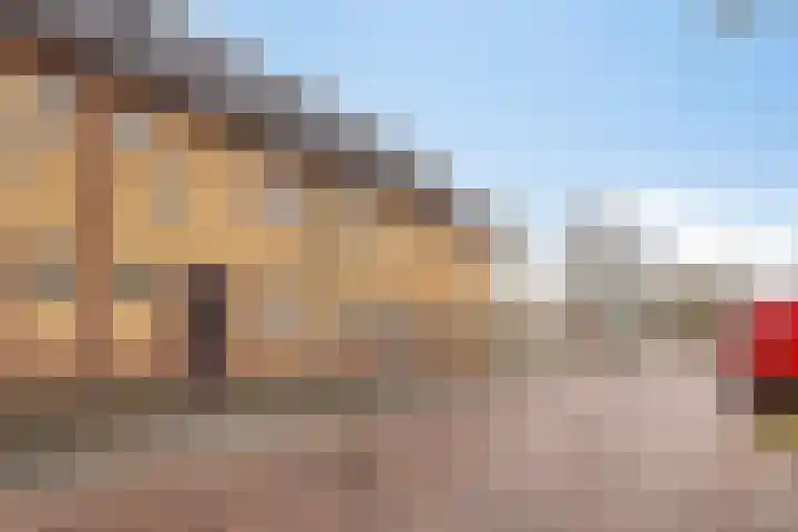 Boshoek 6 Bant thumbnail 4