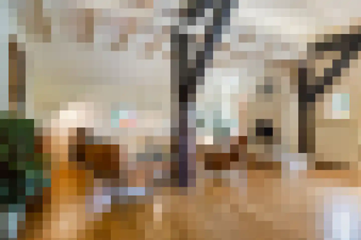Boshoekerweg 3 Oene thumbnail 14