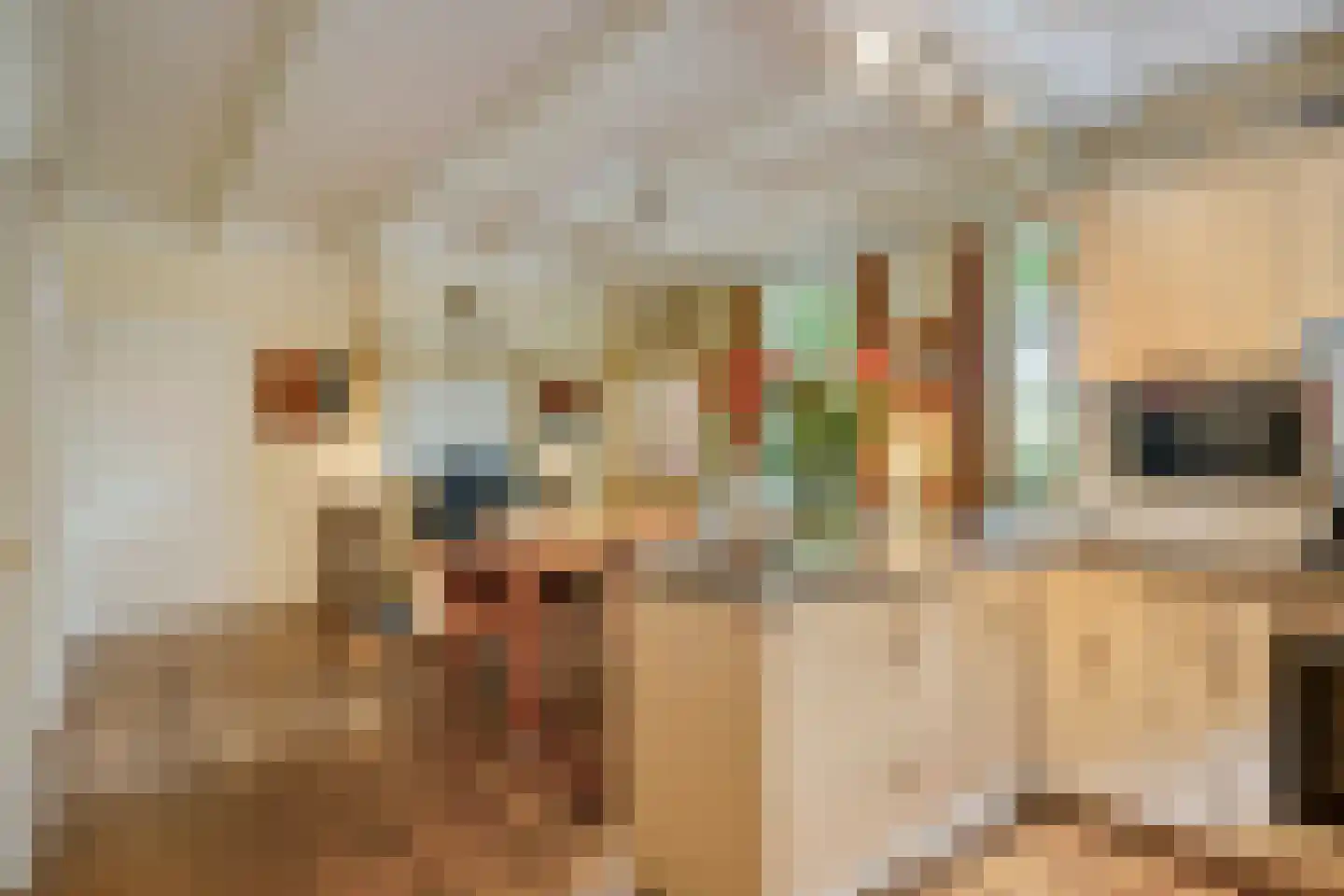 Boshoekerweg 3 Oene thumbnail 24