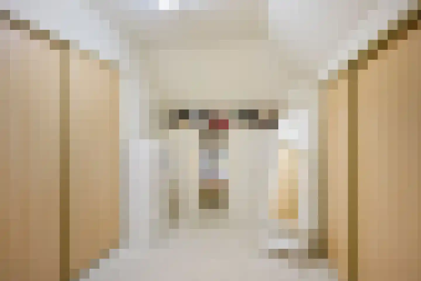 Boshoekerweg 3 Oene thumbnail 43