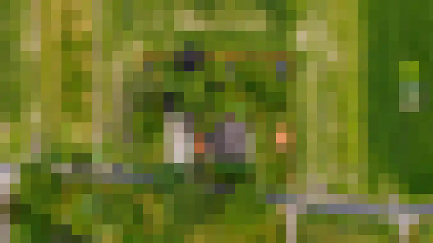 Boshoekerweg 3 Oene thumbnail 46