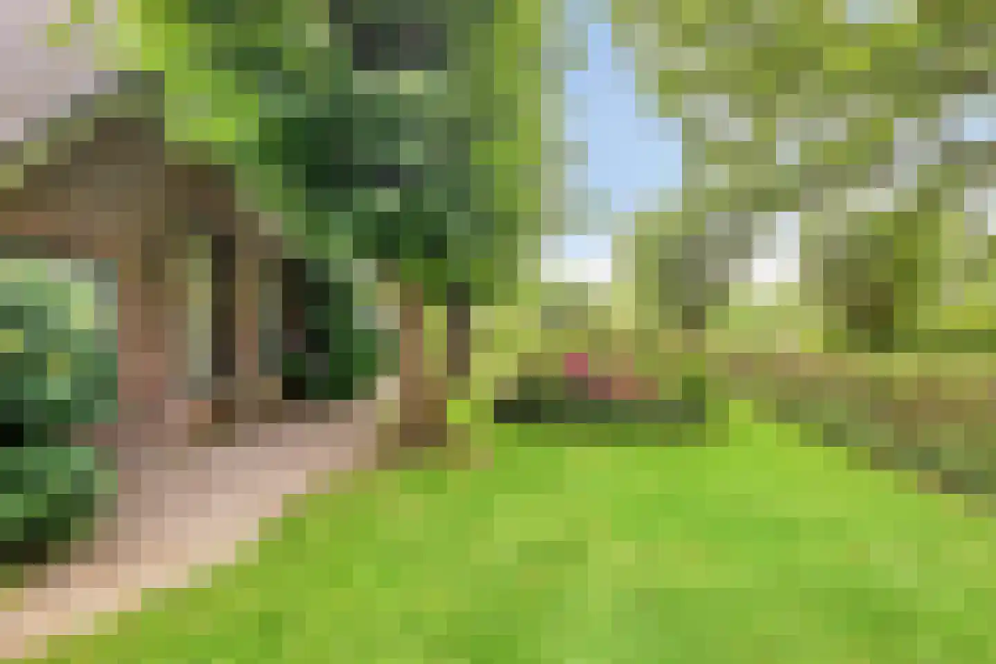 Boshoekerweg 3 Oene thumbnail 47