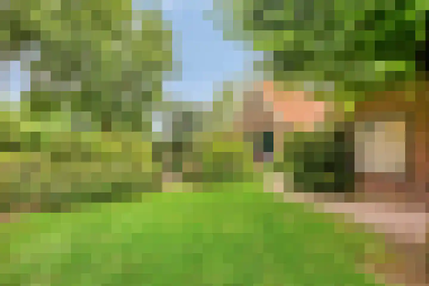 Boshoekerweg 3 Oene thumbnail 49
