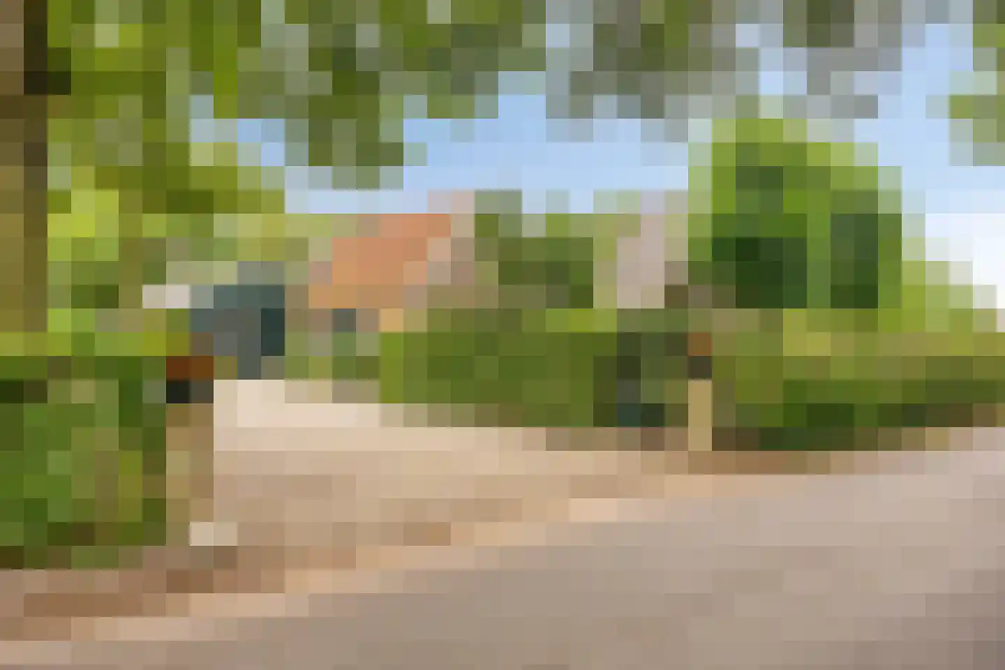 Boshoekerweg 3 Oene thumbnail 5