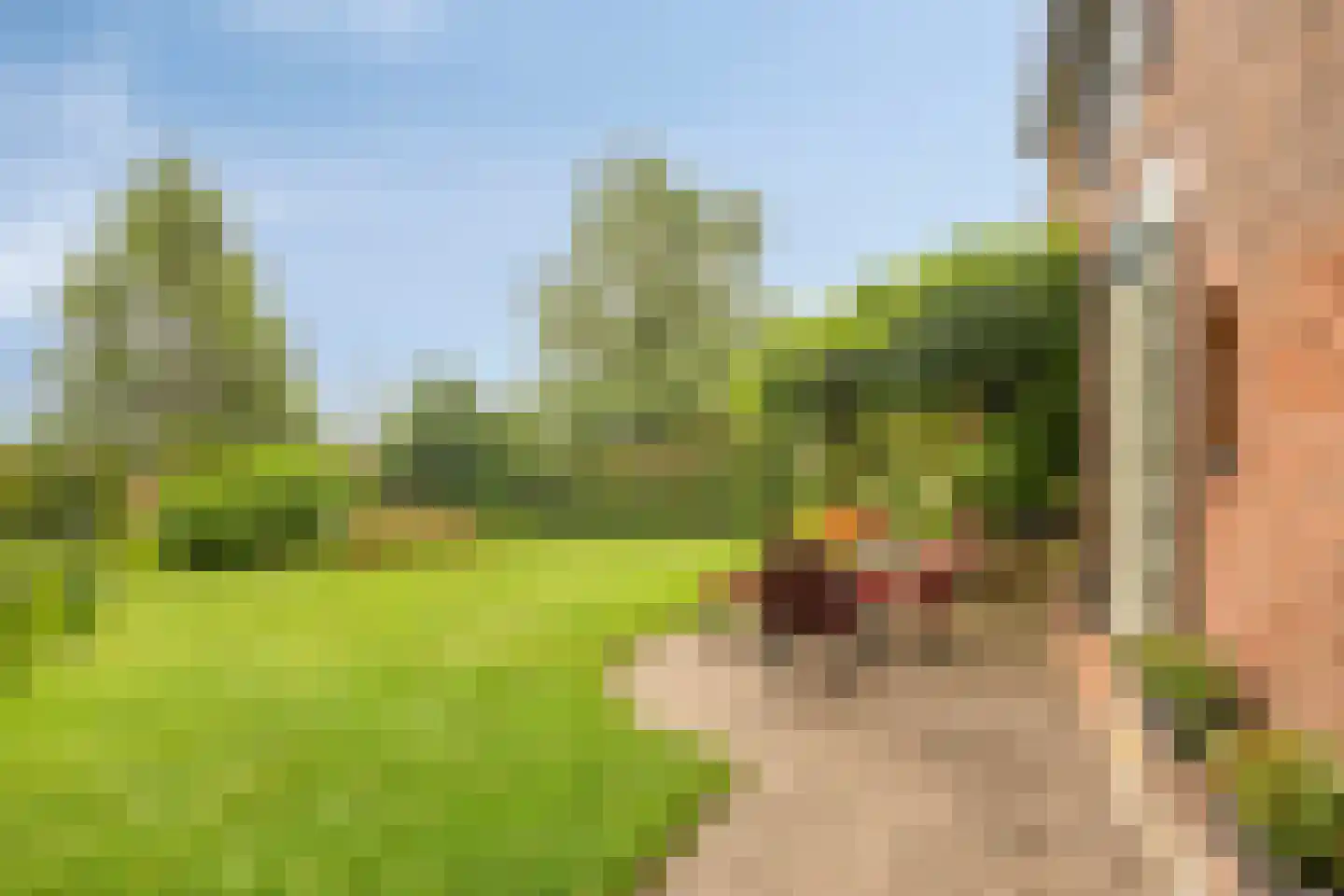 Boshoekerweg 3 Oene thumbnail 51