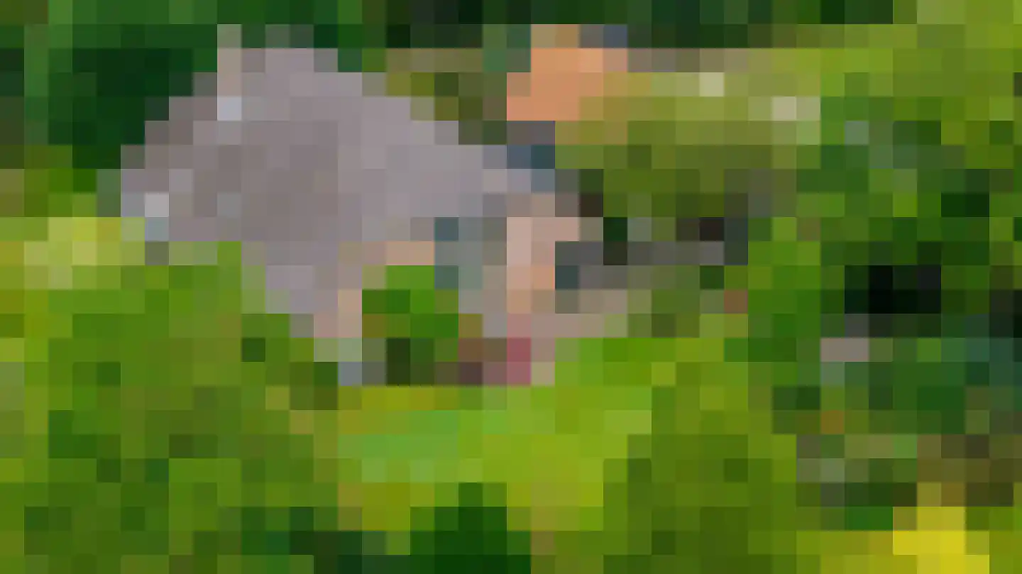 Boshoekerweg 3 Oene thumbnail 54