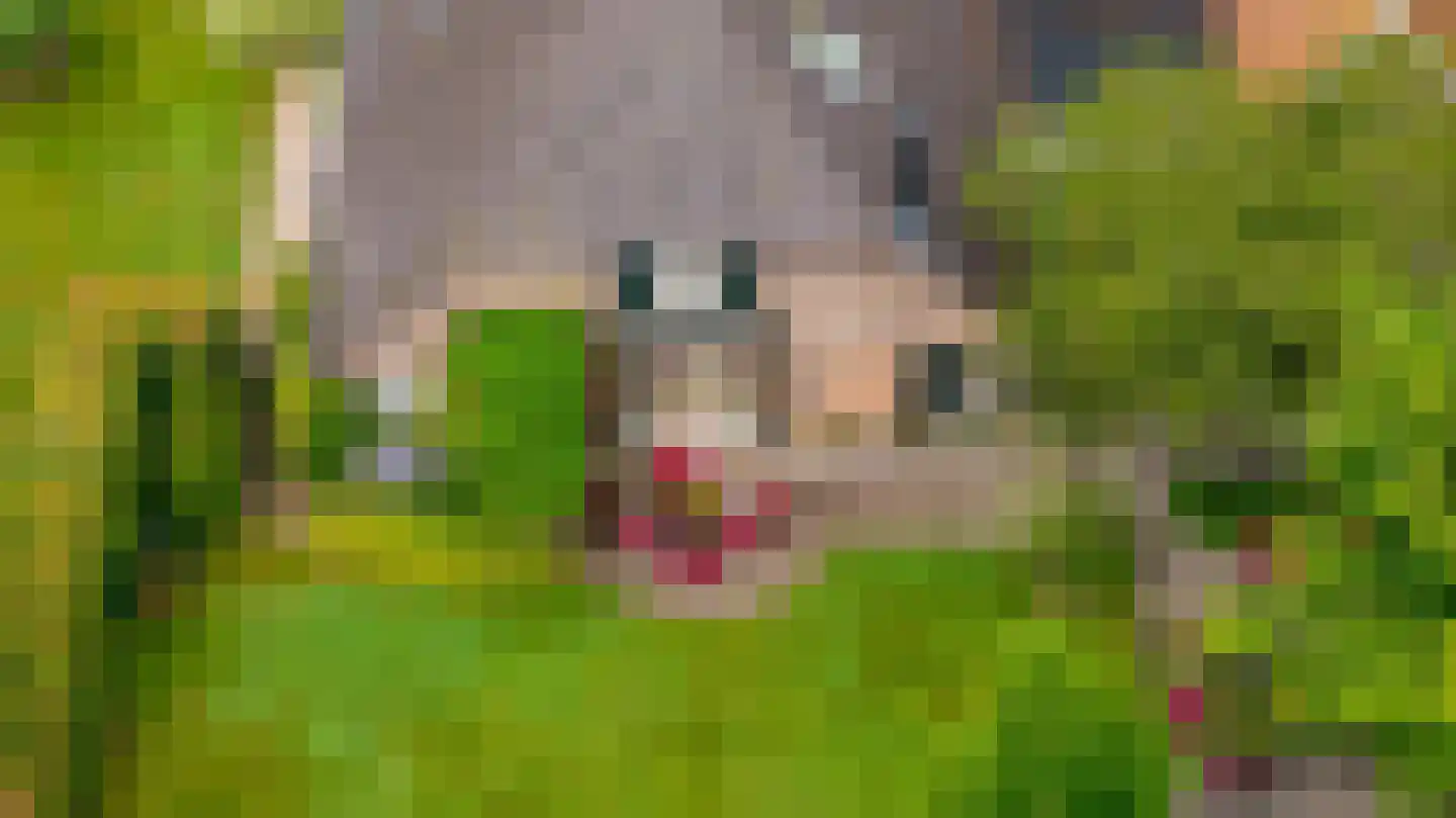 Boshoekerweg 3 Oene thumbnail 55