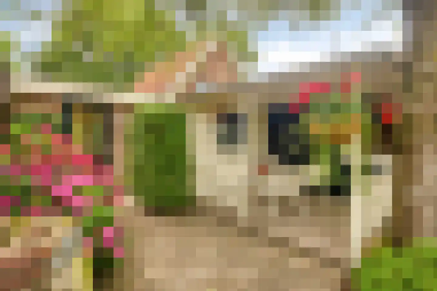 Boshoekerweg 3 Oene thumbnail 60
