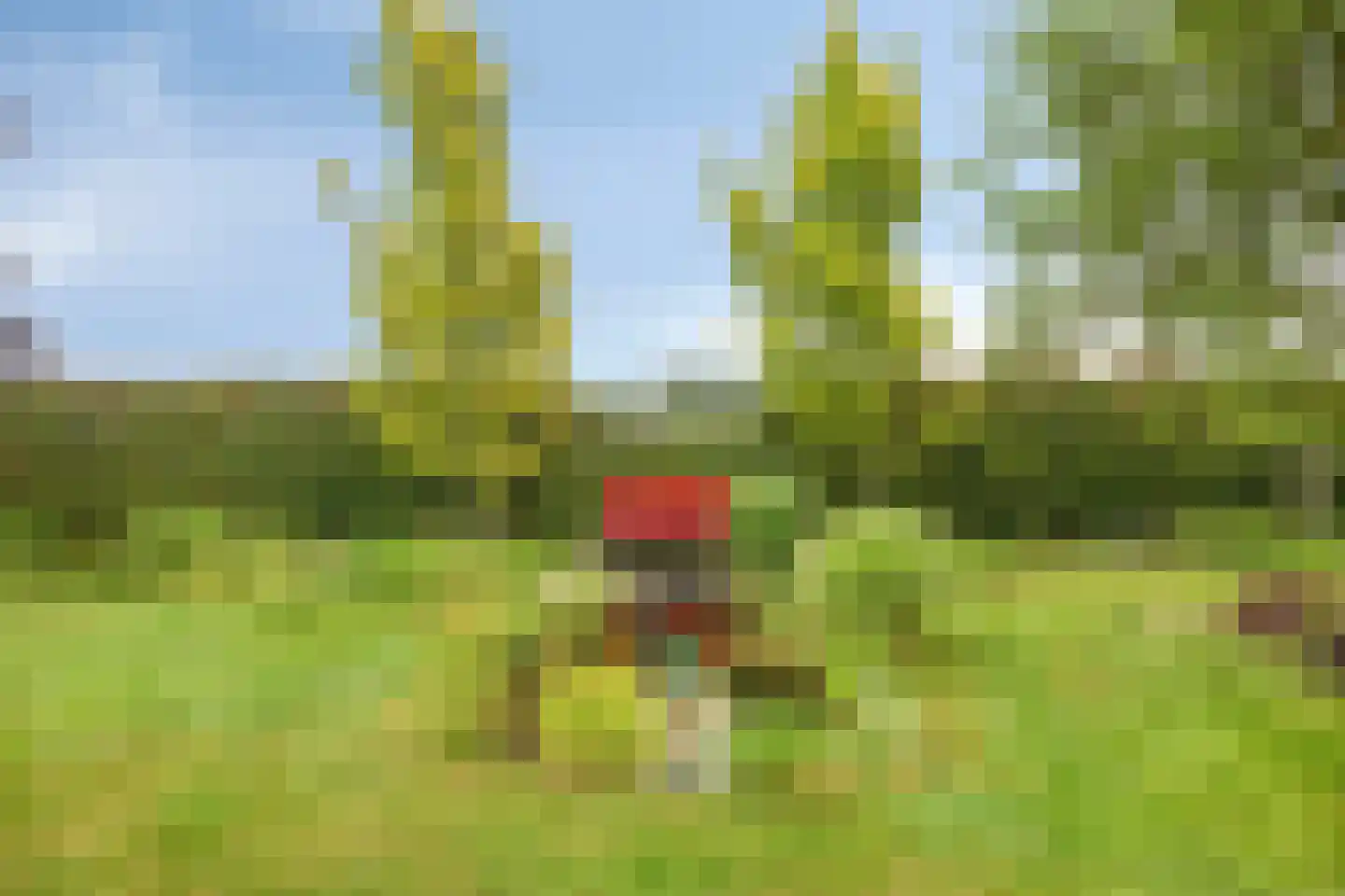 Boshoekerweg 3 Oene thumbnail 64
