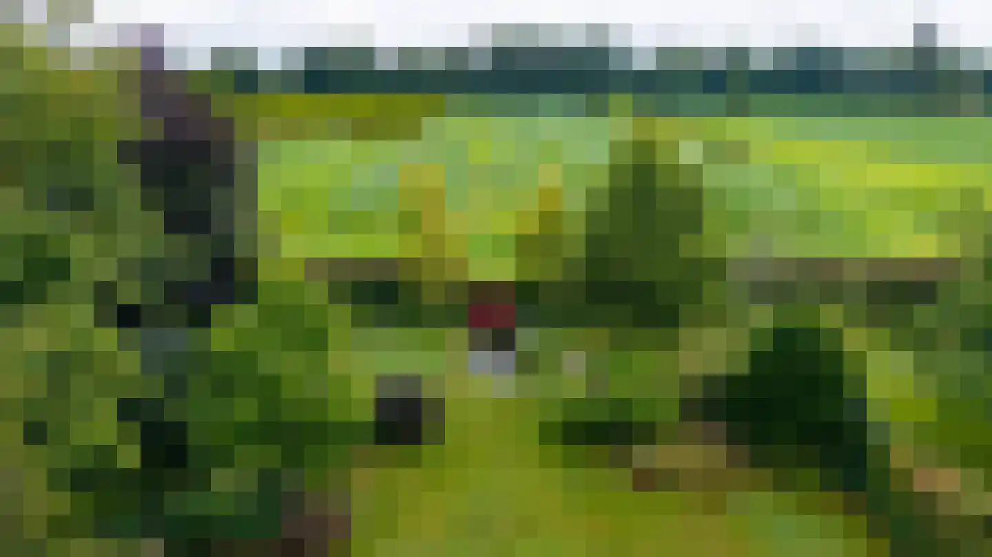 Boshoekerweg 3 Oene thumbnail 65