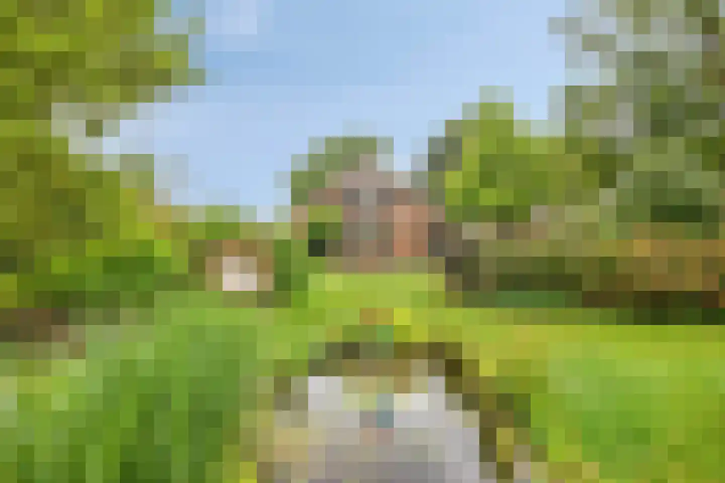 Boshoekerweg 3 Oene thumbnail 66