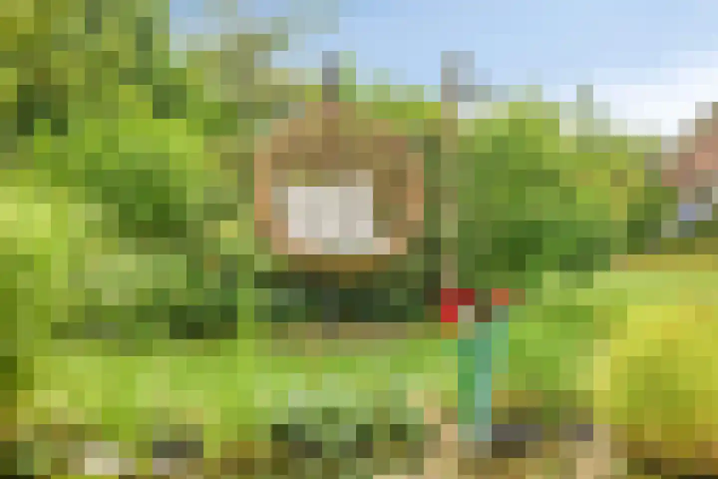 Boshoekerweg 3 Oene thumbnail 67