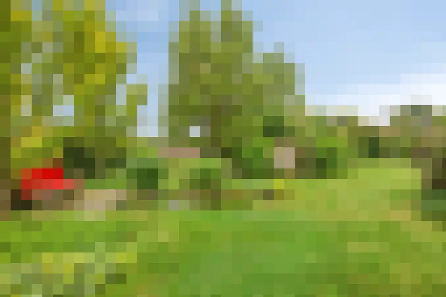 Boshoekerweg 3 Oene thumbnail 68