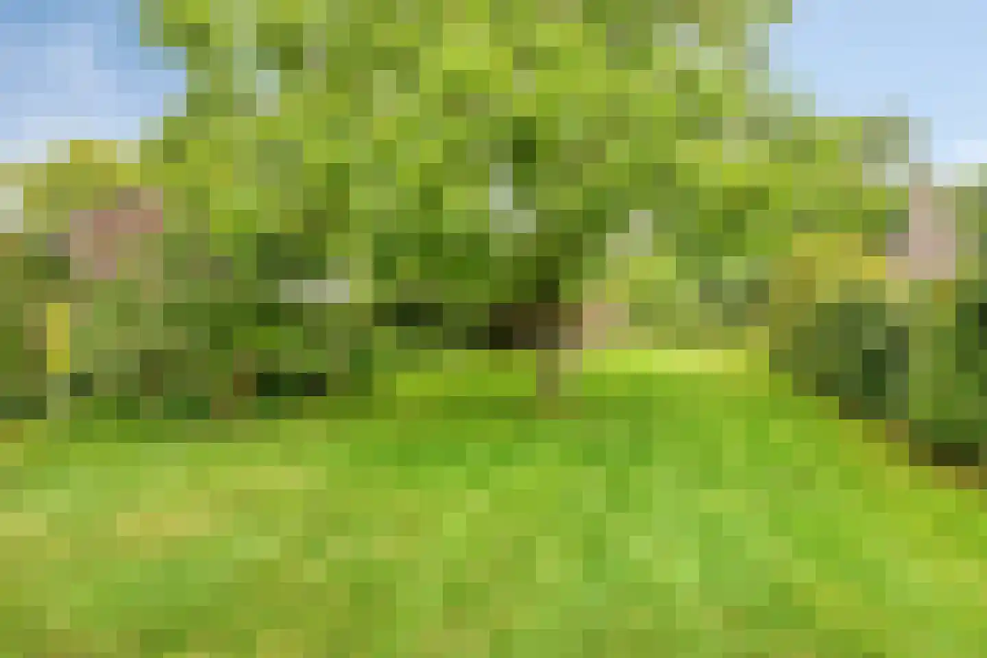 Boshoekerweg 3 Oene thumbnail 70