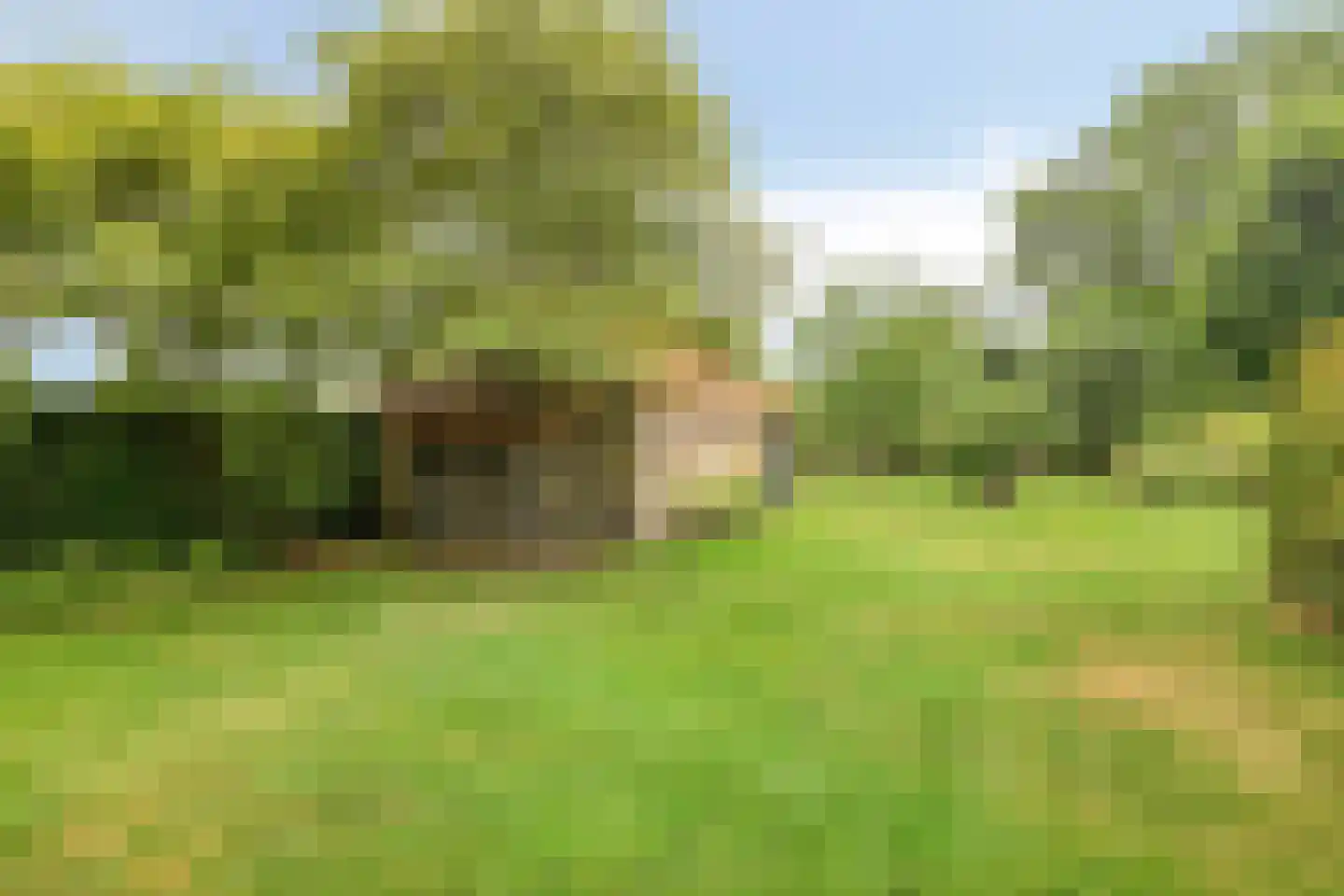 Boshoekerweg 3 Oene thumbnail 71