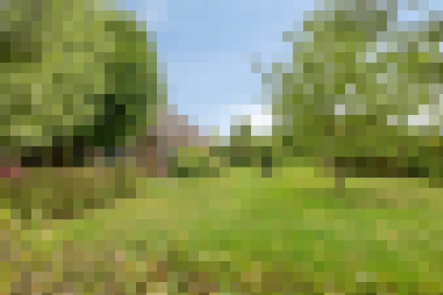 Boshoekerweg 3 Oene thumbnail 72
