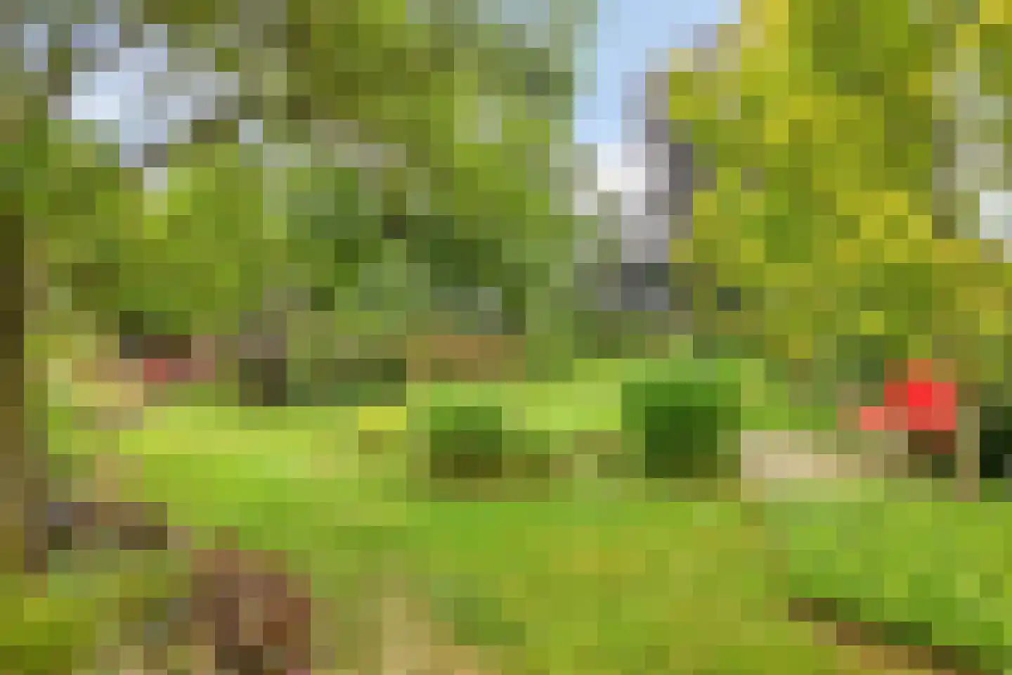 Boshoekerweg 3 Oene thumbnail 74