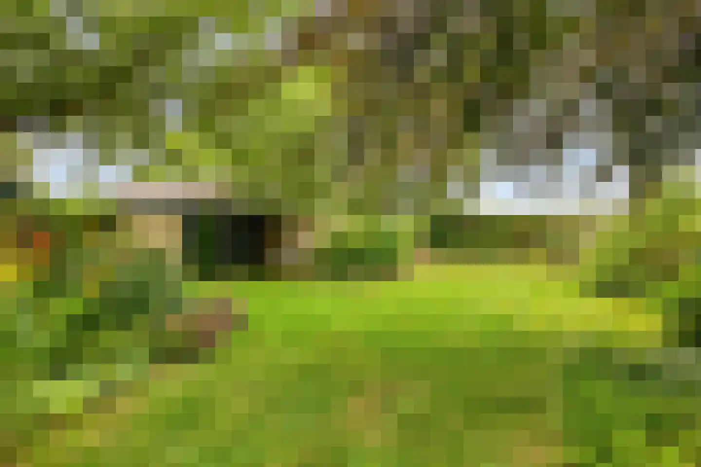 Boshoekerweg 3 Oene thumbnail 75