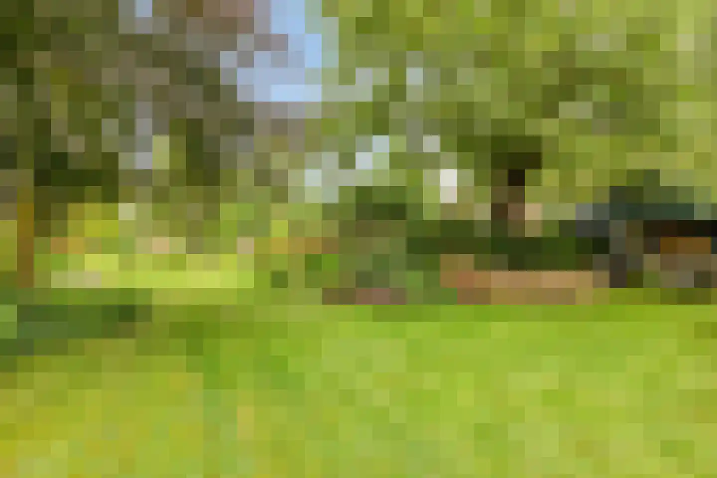 Boshoekerweg 3 Oene thumbnail 76