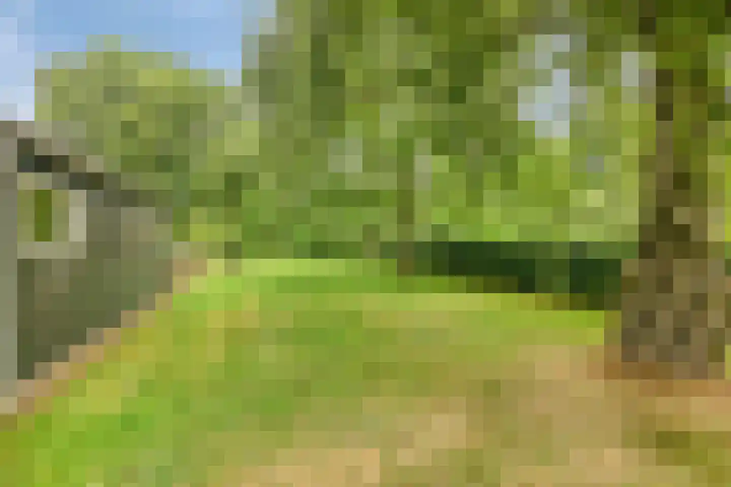 Boshoekerweg 3 Oene thumbnail 77