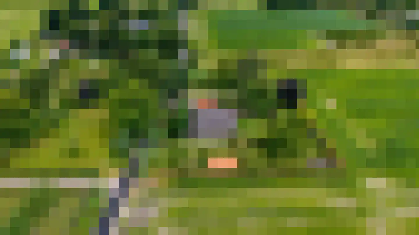Boshoekerweg 3 Oene thumbnail 79