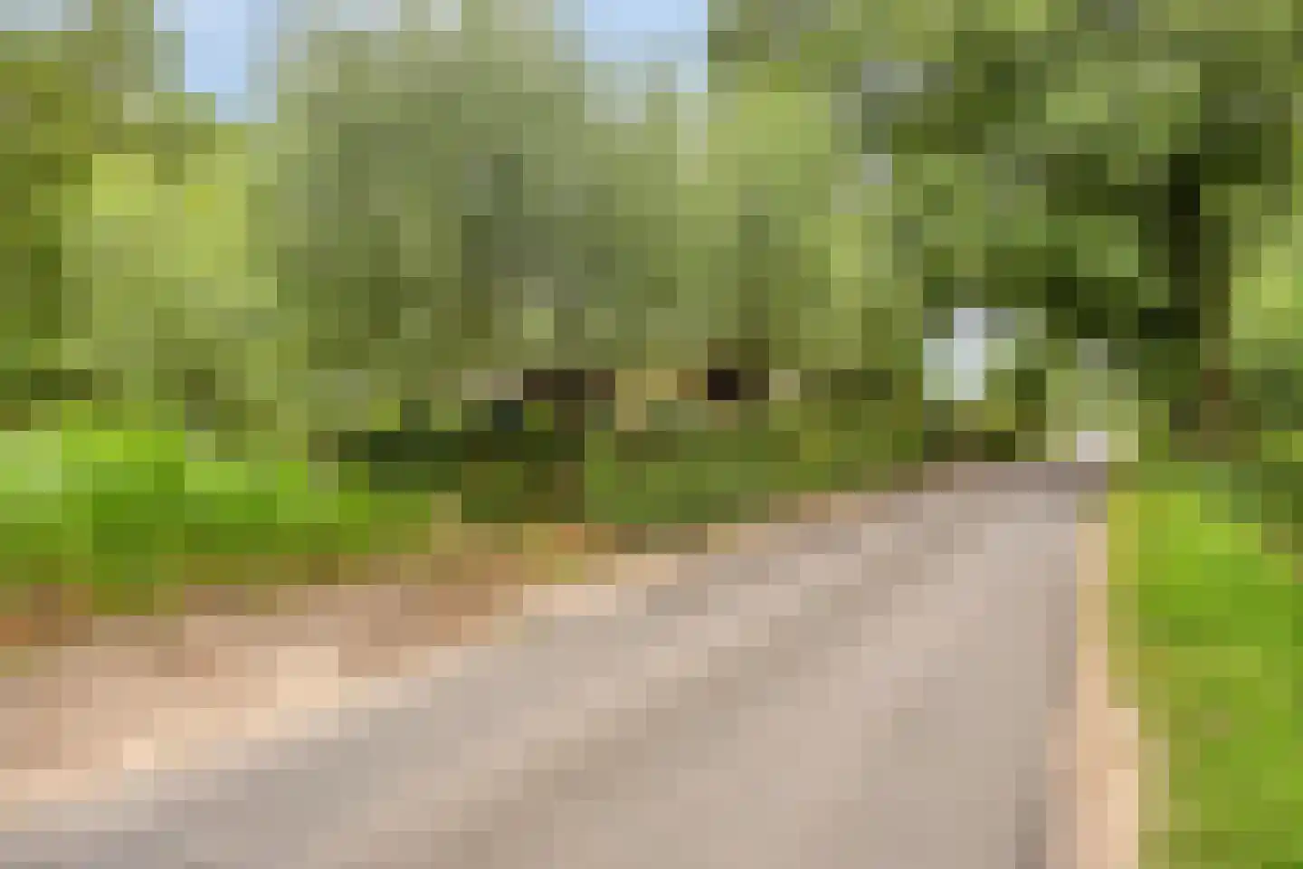 Boshoekerweg 3 Oene thumbnail 80