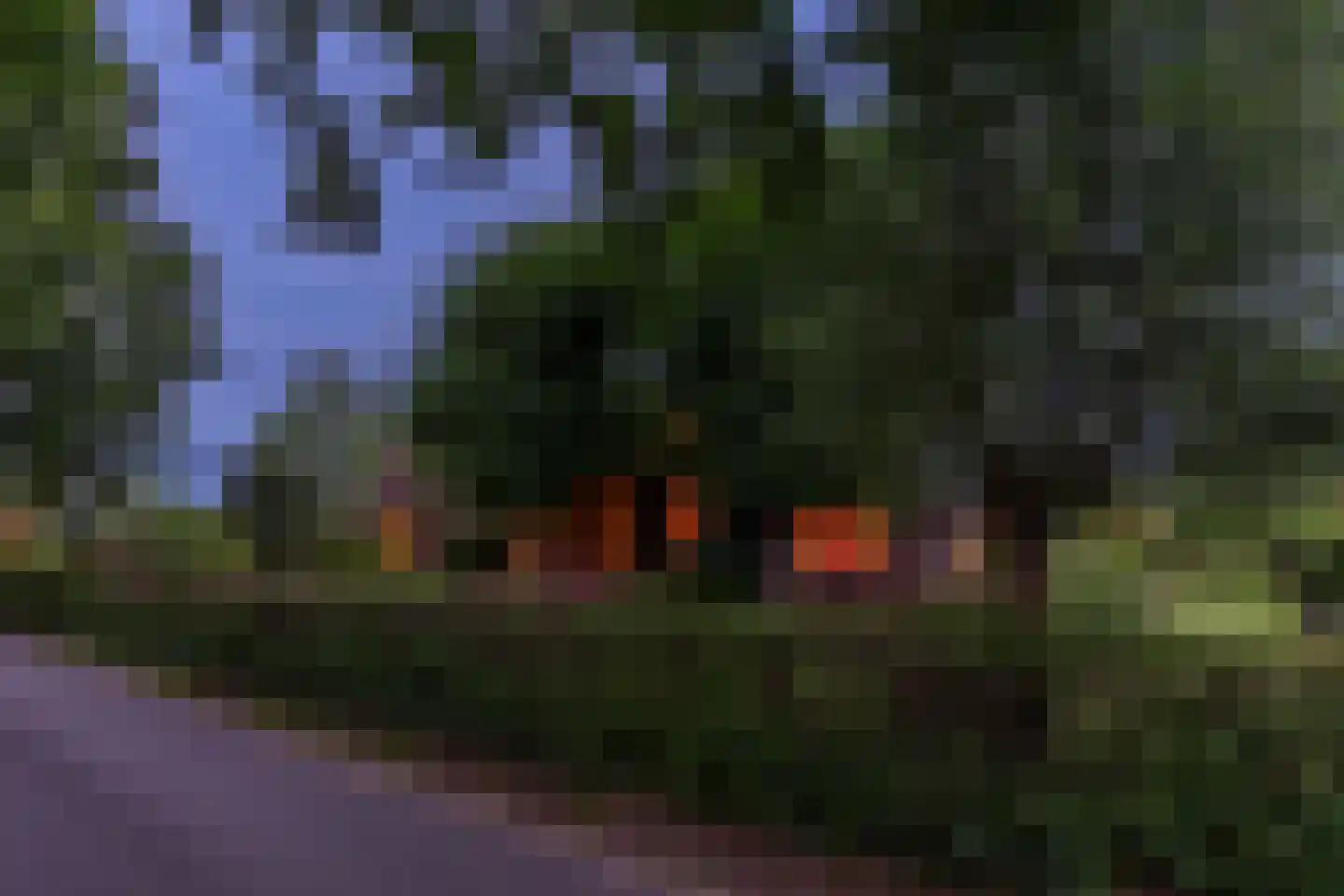 Boshoekerweg 3 Oene thumbnail 81
